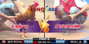 30/10/2024 CPC3 Trận 8 A ĐẬU VT VS A TƯ CAO LÃNH