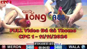 cpc1-11-11-2024