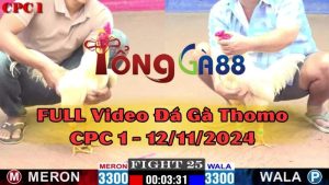 cpc1-12-11-2024