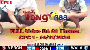 cpc1-16-11-2024