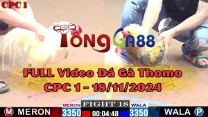 cpc1-18-11-2024