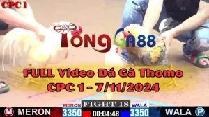 cpc1-7-11-2024