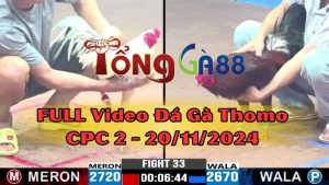 cpc2-20-11-2024