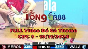 cpc3-19-11-2024