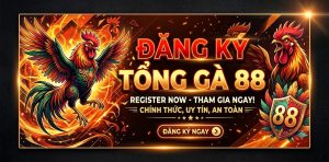 đăng ký tổng gà 88