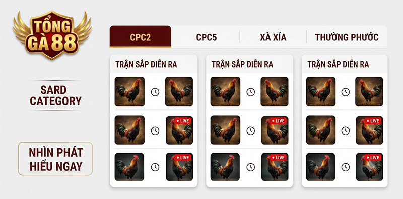 ĐÁ GÀ TRỰC TIẾP