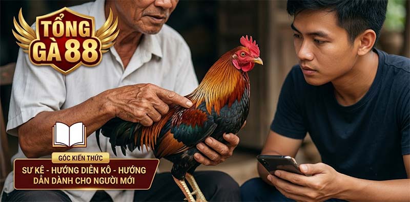 ĐÁ GÀ TRỰC TIẾP