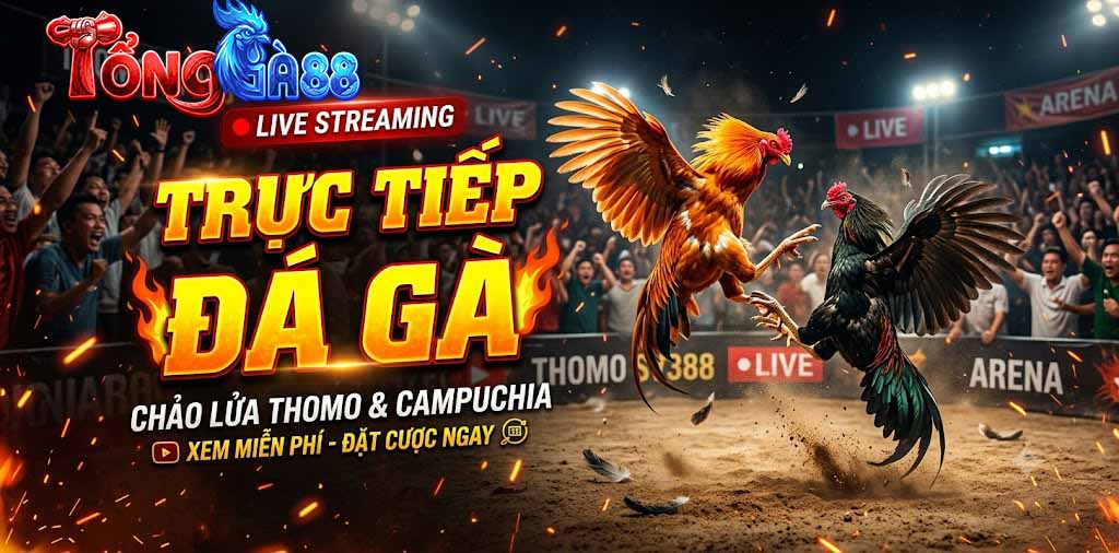 ĐÁ GÀ TRỰC TIẾP